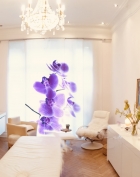 Praxis Hypnosetherapie & tiefentherapeutische Heilverfahren therapeuten.de